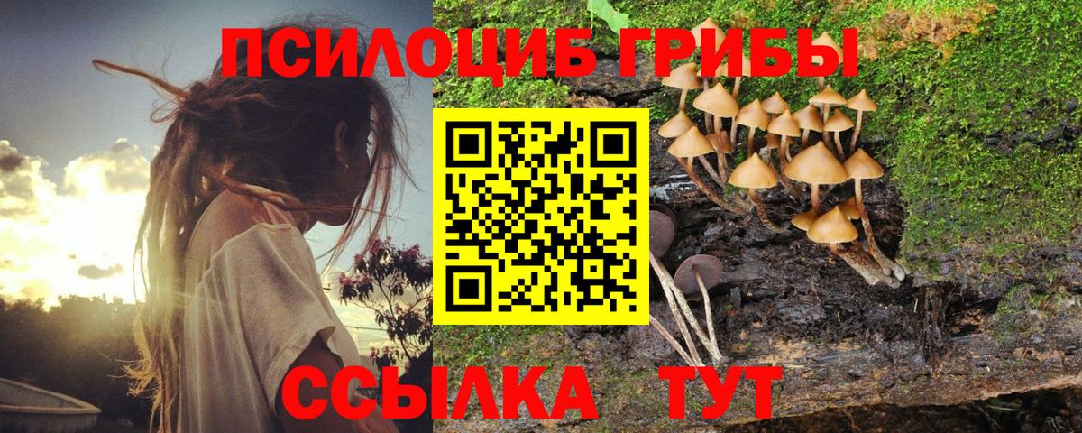 Псилоцибиновые грибы мицелий Ярцево